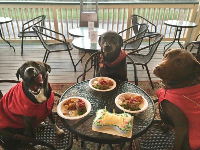 Is your pet ready for civilized dining? Soon that might be your - and the restaurant owner's - choice. Good boy. Now sit.
TownSquareDelaware.com photo